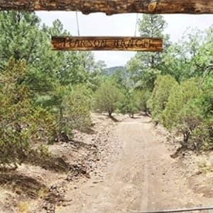 PEARSON RANCH Exotic Meats Ammo Can Gift Set Includes Elk, Buffalo and Venison Summer Sausage and 2 Blocks of Cheese, Cheese and Sausage Box (5 Items Total Inside The Ammo Can)