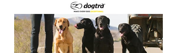 Dogtra 2700T&B Long Range 1-Mile 1-Dog Training & Beeper Remote Dog Training E-Collar for Upland Gun Dog