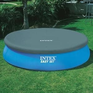 Intex 18ft X 48in Easy Set Pool Set