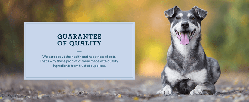 Amazon Brand - Wag Dog Treats, Chicken and Waffle Bites, 12 oz Resealable Pack of 1