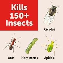 Sevin 100550409 Insect Killer Dust 1 Pound, White Label