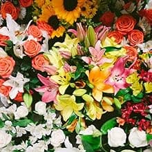 Benchmark Bouquets - Charming Roses & Alstroemeria (Glass Vase Included) - Fresh Flowers for Delivery - Gift for Graduation, Birthday, Anniversary, Sympathy, Get Well, Congratulations