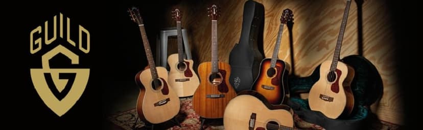 GUILD Guitars D-120 Acoustic Guitar, in Natural, All Solid Woods Dreadnought, Westerly Collection, with Premium Gig Bag