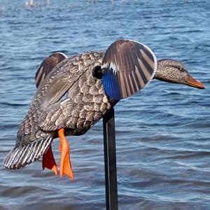 Mojo Outdoors Mojo Butt Up Rippler, Mallard