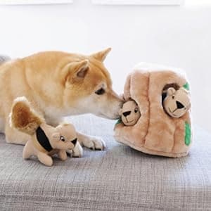 Outward Hound Hide A Squirrel Plush Dog Toy Puzzle, XL