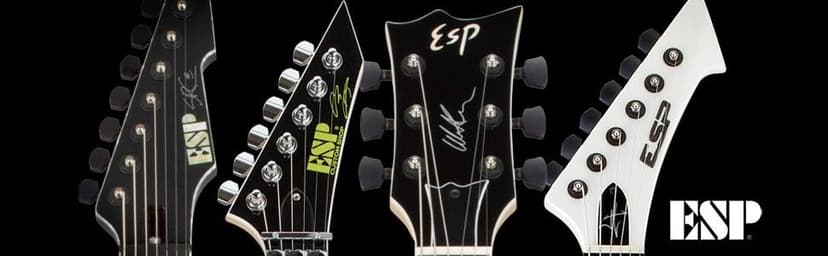 ESP LTD EC-1000 Evertune BB Electric Guitar - Black Satin