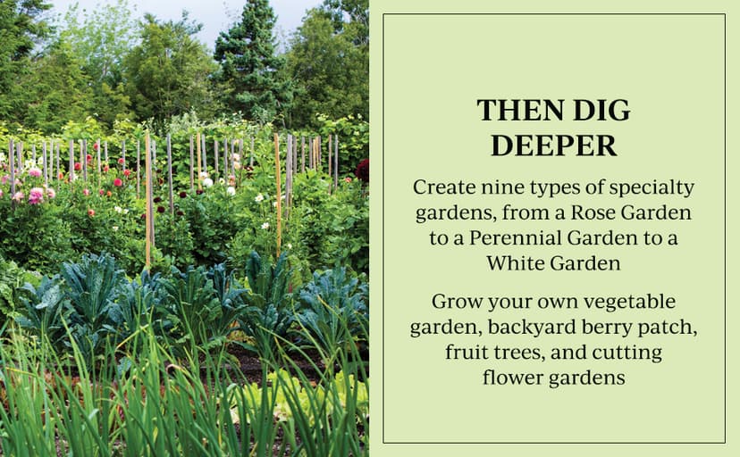 Martha Stewart's Gardening Handbook: The Essential Guide to Designing, Planting, and Growing ― An Instant NYT Bestselling Gardening Manual 0063323281