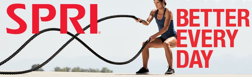 SPRI Exercise Dice (6-Sided) - Game for Group Fitness & Exercise Classes - Includes Push Ups, Squats, Lunges, Jumping Jacks, Crunches & Wildcard (Includes Carrying Bag)