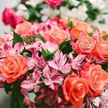 Benchmark Bouquets - 20 Stem Rainbow Mini Carnations (Glass Vase Included) - Fresh Flowers for Delivery - Gift for Birthday, Anniversary, Sympathy, Get Well, Congratulations, Thanksgiving, Christmas