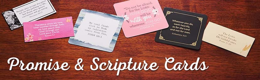 Christian Art Gifts Scripture Prayer Cards In Tin | Grace Notes For Today – 50 Double Sided Cards | Bible Verse Encouraging Gift for Women