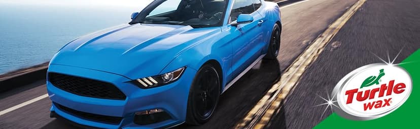 Turtle Wax Hybrid Solutions Ceramic Acrylic Black Car Wax Spray, Restores Apperance of Black Car Paint, Ceramic Coating Protection, Extreme Water Beading, High Gloss Shine, 16 oz (Pack of 1)