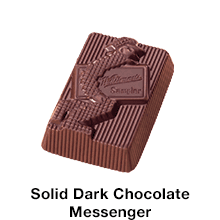 WHITMAN'S SAMPLER Assorted Milk & Dark Chocolate Candy Gift Box, 10 oz.