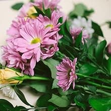 Benchmark Bouquets - 20 Stem Rainbow Mini Carnations (Glass Vase Included) - Fresh Flowers for Delivery - Gift for Birthday, Anniversary, Sympathy, Get Well, Congratulations, Thanksgiving, Christmas