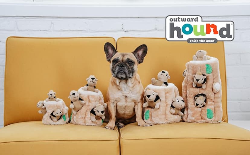 Outward Hound Hide A Squirrel Plush Dog Toy Puzzle, XL