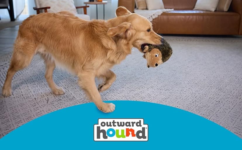 Outward Hound, Hedgehogz Plush Dog Toy, Medium