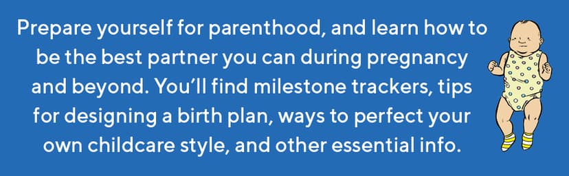 We're Pregnant! The First Time Dad's Pregnancy Handbook