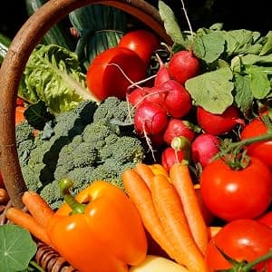 The Old Farmer's Almanac Vegetable Gardener’s Handbook: Essential Step-by-Step Advice for Growing Vegetables and Achieving Success 1571988459