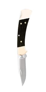 Buck Knives 110 Folding Hunter Knife, 3-3/4" Blade, Lockback Design, Ebony Handle, Brass Bolsters, 420HC Stainless Steel Clip Point Blade, Sheath Included, Hunting Knife Made in the USA, 7.2 oz