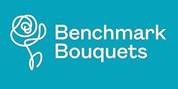 Benchmark Bouquets - 20 Stem Rainbow Mini Carnations (Glass Vase Included) - Fresh Flowers for Delivery - Gift for Birthday, Anniversary, Sympathy, Get Well, Congratulations, Thanksgiving, Christmas