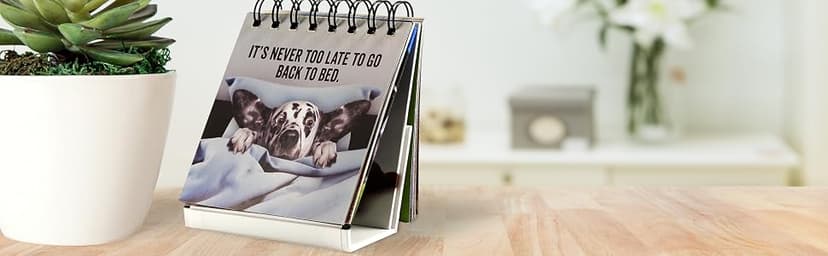 Every Flippin' Day Desktop Flipbook 1441329501
