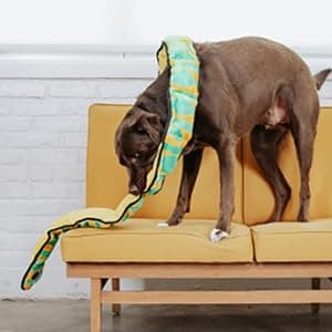 Outward Hound Hide A Squirrel Plush Dog Toy Puzzle, XL