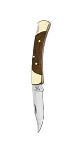 Buck Knives 110 Folding Hunter Knife, 3-3/4" Blade, Lockback Design, Ebony Handle, Brass Bolsters, 420HC Stainless Steel Clip Point Blade, Sheath Included, Hunting Knife Made in the USA, 7.2 oz