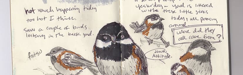 The Field Guide to Dumb Birds of North America (Bird Books, Books for Bird Lovers, Humor Books) 1452174032