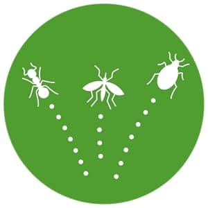 Insect Shield Premium Permethrin Spray - Tick, Flea, Fly, Mosquito, Chigger, Spider & Bed Bug Repellent for Clothing, Gear, Furniture, & Tents, Last up to 60 Days, Clear, 6 Oz Aerosol