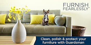 Guardsman Protect & Preserve Leather Protector for Leather Furniture & Car Interiors | Small Leather Goods and Leather Shoe Cleaner, 8.4 Fluid Ounces