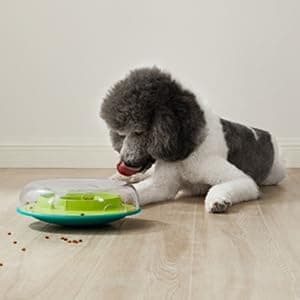 Outward Hound Hide A Squirrel Plush Dog Toy Puzzle, XL