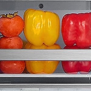 DE210FDBMDSS Refrigerator Built in with French Doors Adjustable Glass Shelves Dual Drawer Bottom Freezer with Ice Maker, LED Interior Light and Stainless Steel Exterior, 36-Inch, Metallic