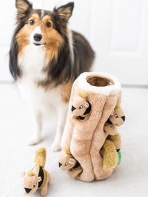 Outward Hound Hide A Squirrel Plush Dog Toy Puzzle, XL