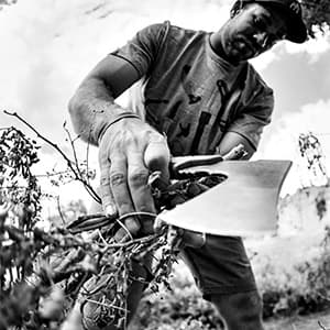 Gerber Gear Pack Hatchet - 3.5" Steel Blade Axe with Full Tang - Survival, Bushcraft and Camping Gear - with Mountable Nylon Sheath - Brown