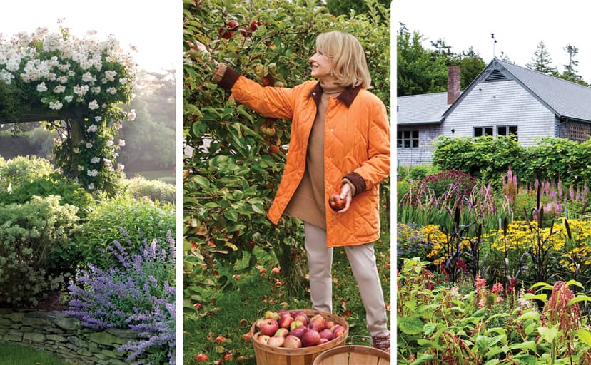 Martha Stewart's Gardening Handbook: The Essential Guide to Designing, Planting, and Growing ― An Instant NYT Bestselling Gardening Manual 0063323281