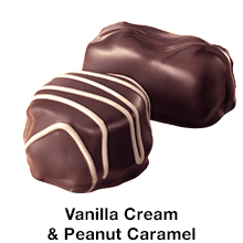 WHITMAN'S SAMPLER Assorted Milk & Dark Chocolate Candy Gift Box, 10 oz.