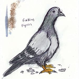 The Field Guide to Dumb Birds of North America (Bird Books, Books for Bird Lovers, Humor Books) 1452174032
