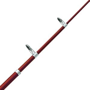 Zebco Z-Cast Casting Fishing Rod,