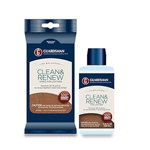 Guardsman Protect & Preserve Leather Protector for Leather Furniture & Car Interiors | Small Leather Goods and Leather Shoe Cleaner, 8.4 Fluid Ounces