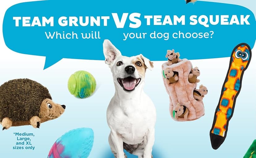 Outward Hound, Hedgehogz Plush Dog Toy, Medium