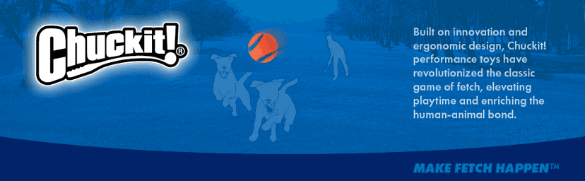 Chuckit! Interactive Dog Toy Ultra Fetch Stick - 12 Inch Outdoor Dog Toy for All Breed Sizes