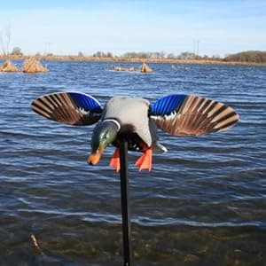 Mojo Outdoors Mojo Butt Up Rippler, Mallard