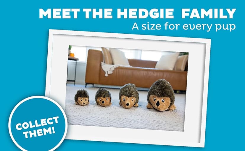 Outward Hound, Hedgehogz Plush Dog Toy, Medium