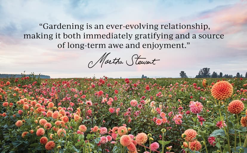 Martha Stewart's Gardening Handbook: The Essential Guide to Designing, Planting, and Growing ― An Instant NYT Bestselling Gardening Manual 0063323281