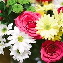 Benchmark Bouquets - 20 Stem Rainbow Mini Carnations (Glass Vase Included) - Fresh Flowers for Delivery - Gift for Birthday, Anniversary, Sympathy, Get Well, Congratulations, Thanksgiving, Christmas