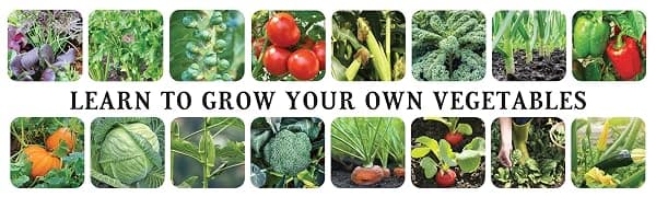 The Old Farmer's Almanac Vegetable Gardener’s Handbook: Essential Step-by-Step Advice for Growing Vegetables and Achieving Success 1571988459