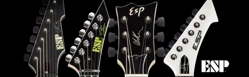 ESP LTD EC-1000 EMG - Vintage Black