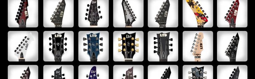 ESP LTD EC-1000 EMG - Vintage Black