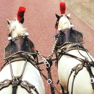 Huberd’s Leather Dressing with Neatsfoot Oil - Leather conditioner that softens new and restores dry and hardened boots, shoes, bags, belts, baseball gloves, saddles and harness.