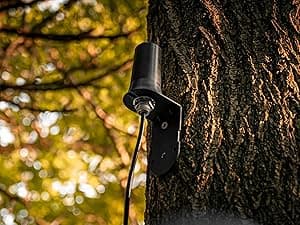 SPYPOINT Flex-S-Dark Ultimate Pack with SD Card + LIT-22 - Solar Cellular Trail Camera – Built-in Solar Panel, 40MP Photos, 1080p Videos + Sound, No-Glow Game Camera, Night Vision, Trail Cam