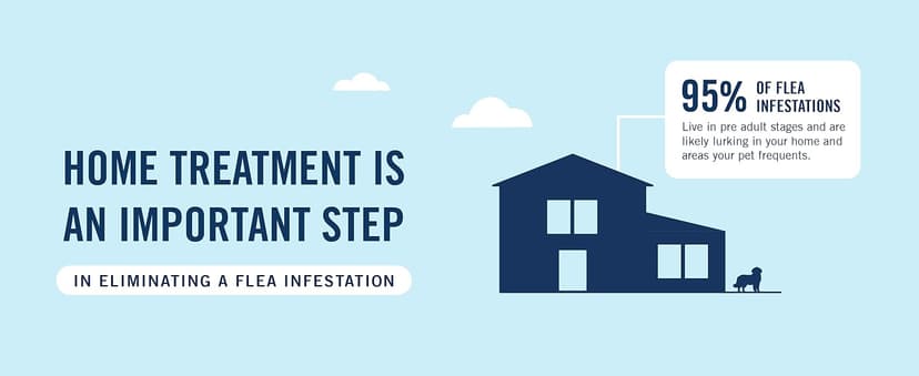 PETARMOR Home Carpet Powder for Fleas and Ticks, Protect Your Home From Fleas and Deodorizes Carpets, 16 Ounce